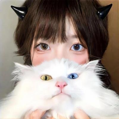 大展猴威3：宝贝智多猩